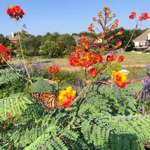 Meet your Posher, Denise